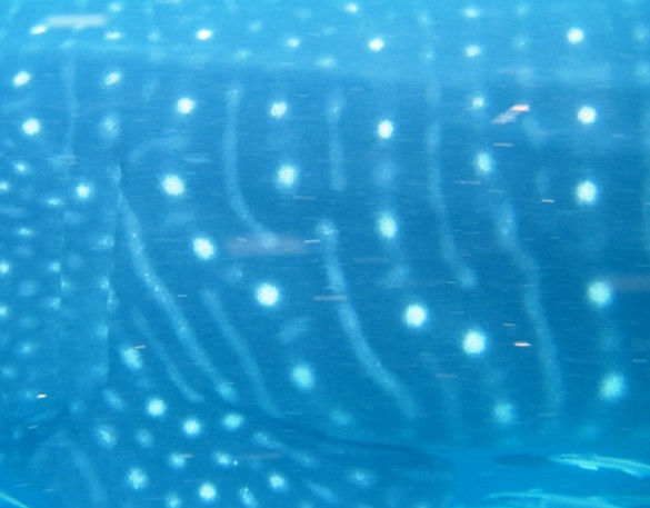 f4b21357-b2e8-4366-8384-c3e0403db03c