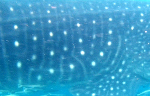 f4b21357-b2e8-4366-8384-c3e0403db03c