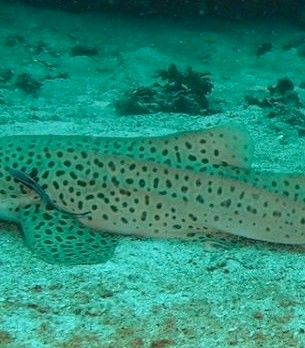 18935a8e-9441-4aa9-a14e-920e05b86764