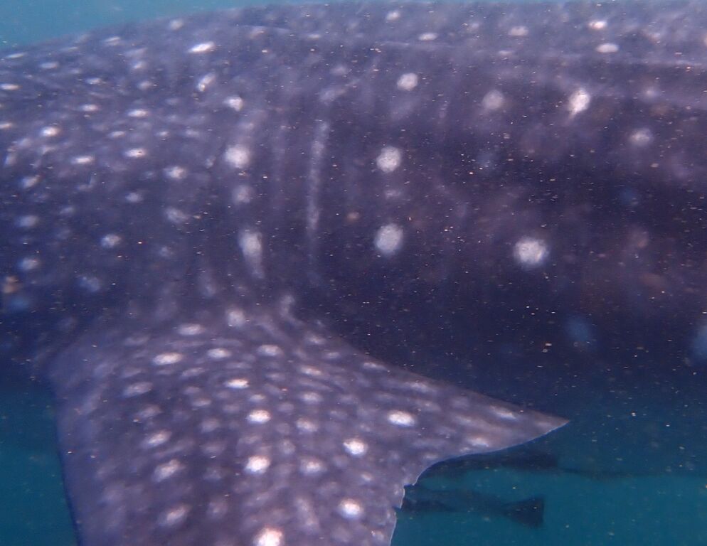 068e2fc5-db9e-4047-bd90-12256eebd2a9