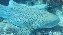 cc1f1bf4-2018-4e6d-86e5-4e47fde1a16a