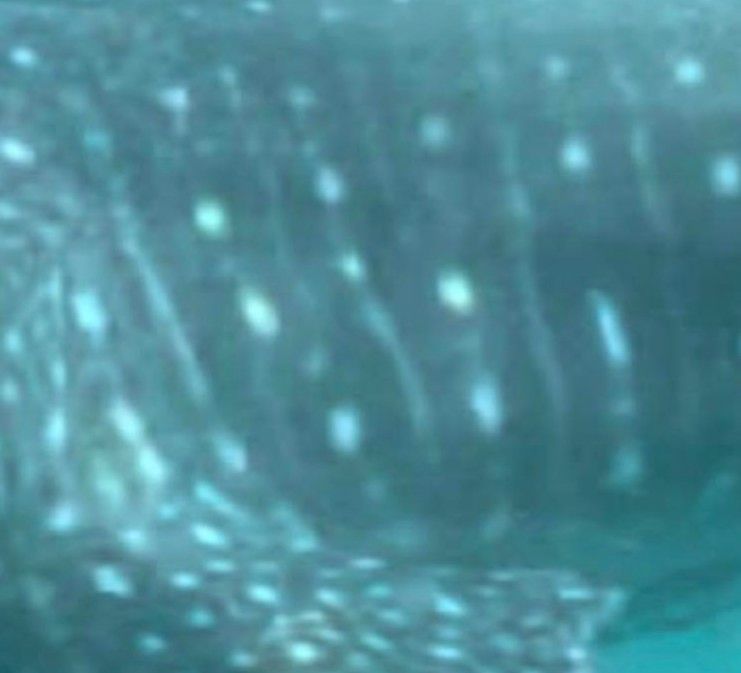 782e7853-3f31-415d-9d23-1482b902657f