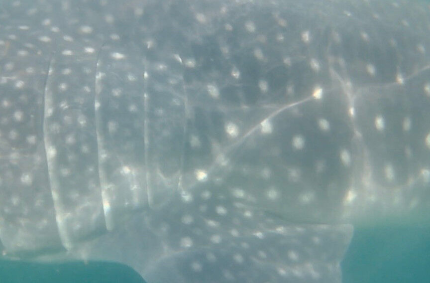 40c86d4a-531a-4b50-a6b8-674fafc340f1