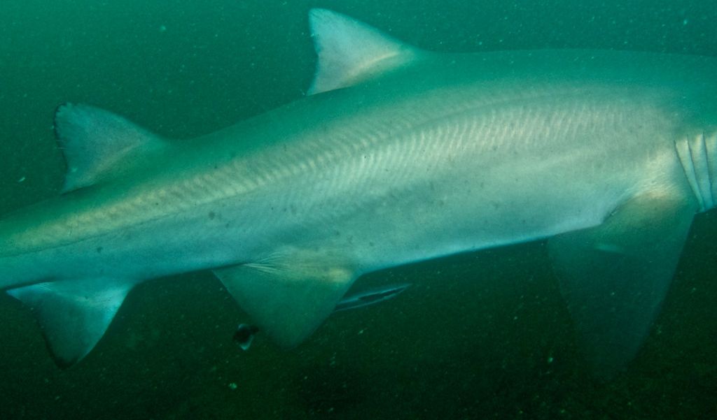 d73111c0-bb11-4b60-bcf8-eb7d65199dbb