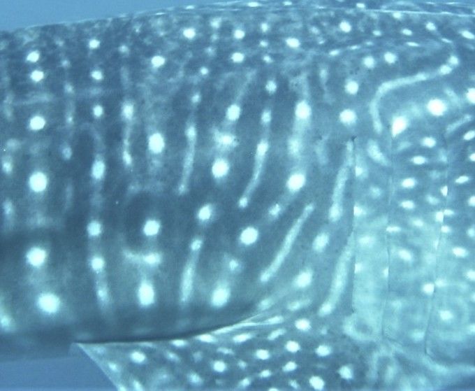 bd7d1690-5c47-4165-a4e8-04fee2a189b3