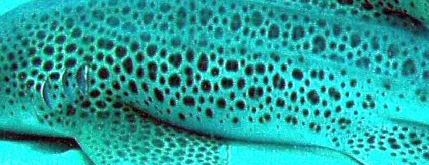 3d91a55b-01c4-4fe9-97b8-4be38afeb78b