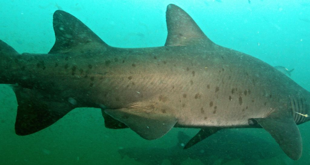 3c139749-a672-4a0d-bb49-a69853440823