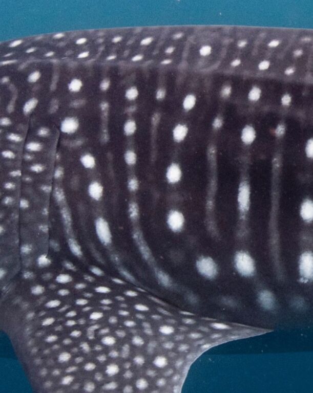 b4b9c729-7475-41f5-ba01-5c016e06495d