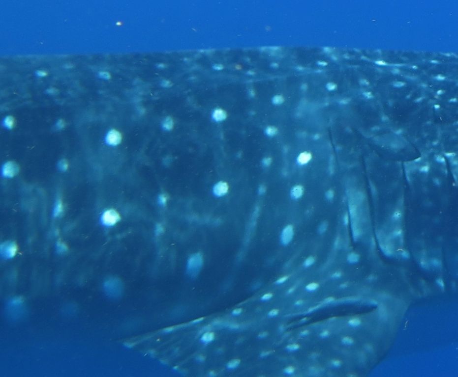 8f8bf6ef-4285-4ce5-ae13-dc8bce95d1d1