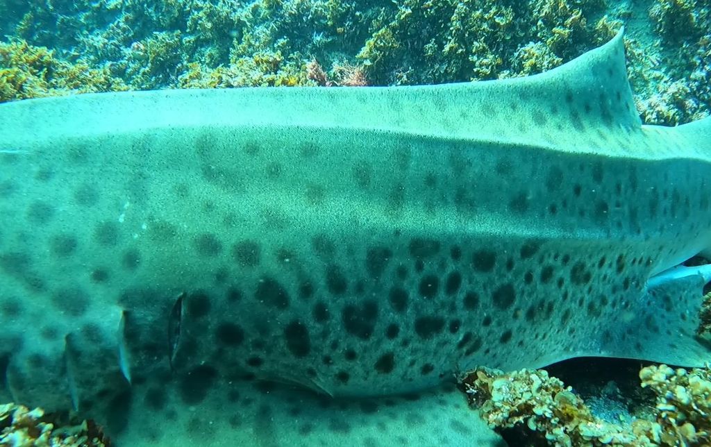 12e124d7-53a5-42c0-9a66-f07cc59eabbf