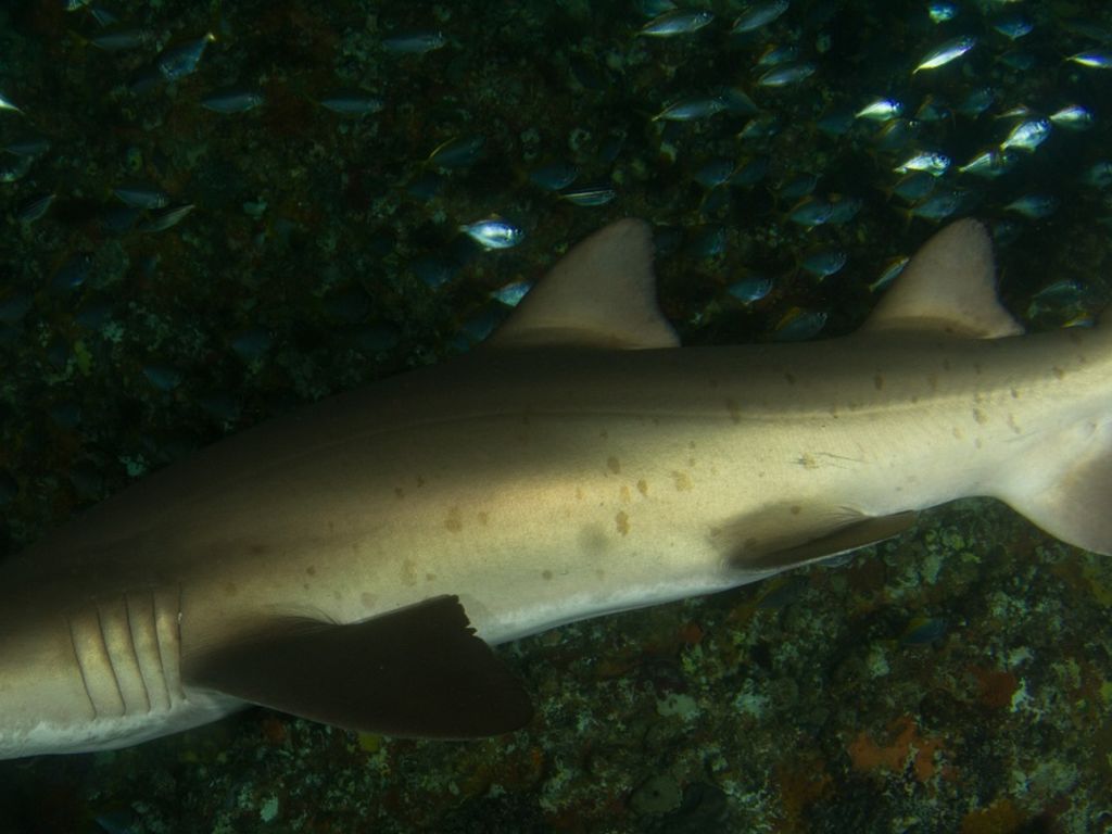 a2378b38-b1fe-43ea-aeb6-8f956e283446