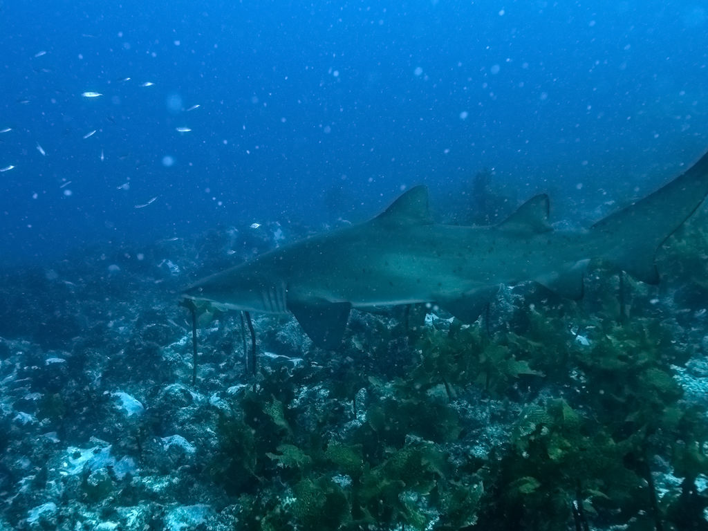 41ca4ab8-542e-448c-b390-58a43e83166c