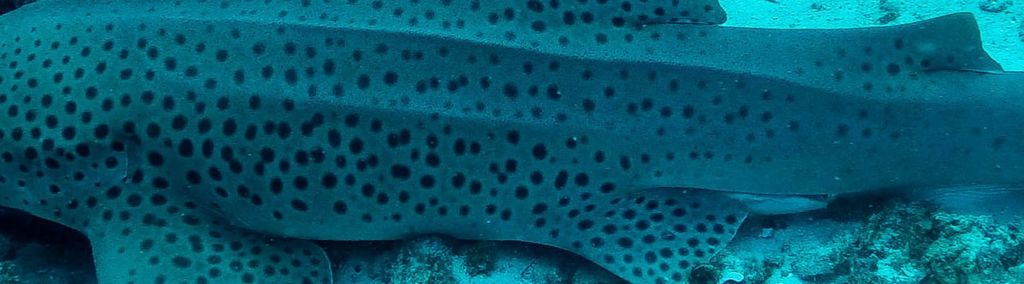 5aa28b29-8657-4893-a9da-5b12b3e170c8