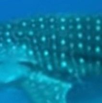 c81c20a9-2b6b-46d1-9b66-7fc8e123d78c