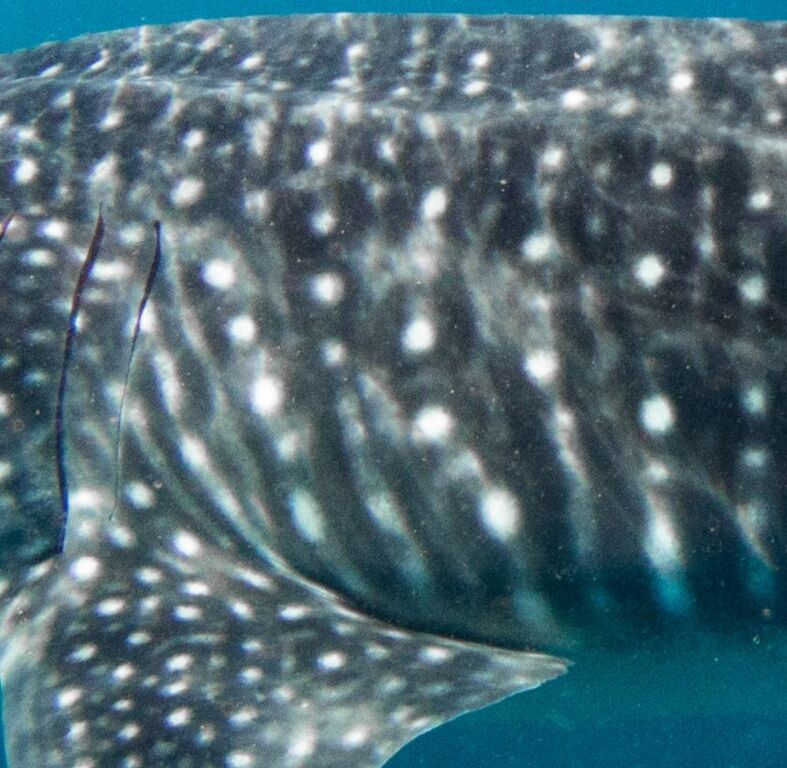 466bda85-1b92-49c5-9fdc-3e5d1f10ed4c