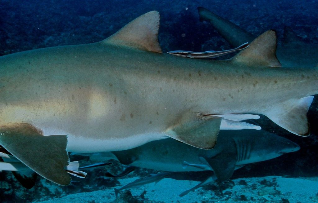 3bc258fa-7064-46a4-aee4-84ffd64c7378