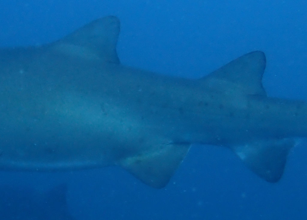 7a30bbb0-125c-495b-9247-2ad69c9dfd10