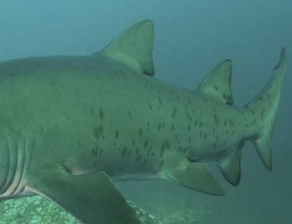 32928760-8a11-40b1-a2cb-04902fa9e9c6