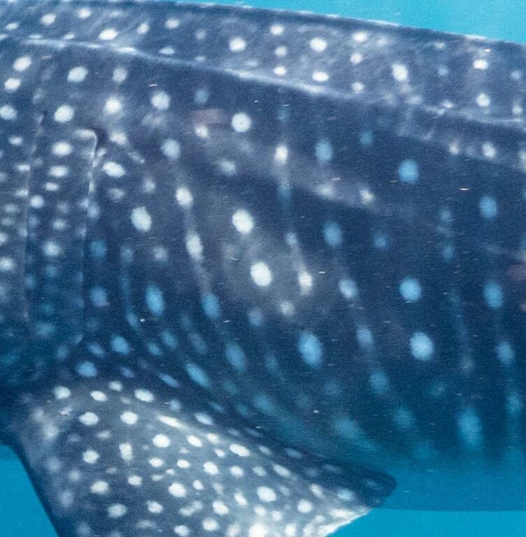 16b152ac-50be-4154-9f24-4c1b947d17c3