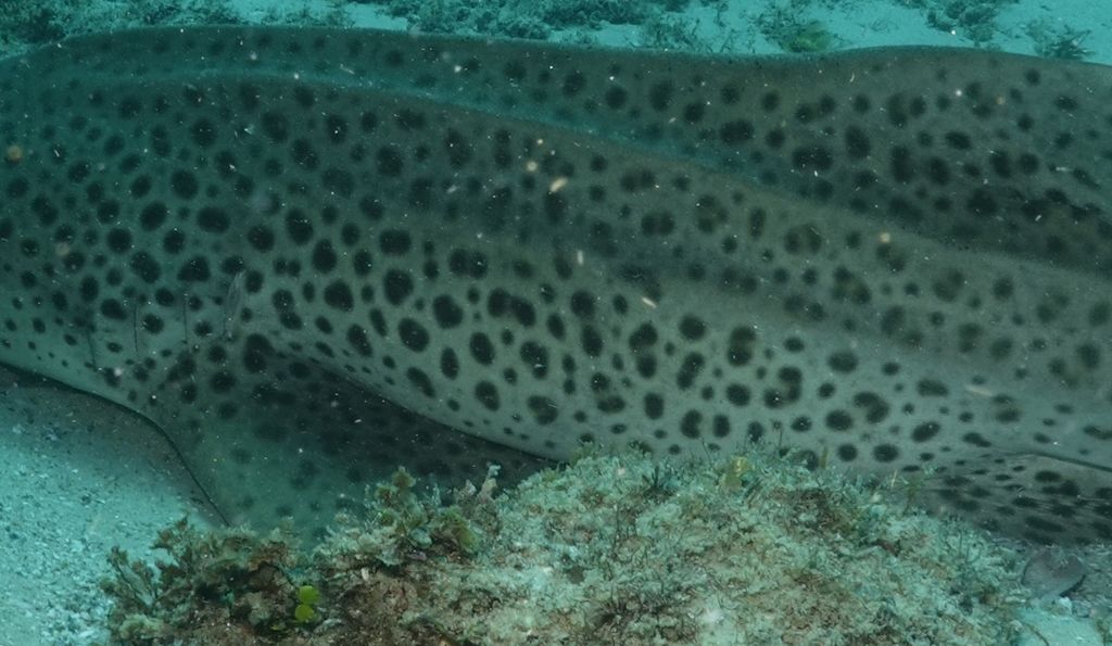 728cd3d4-a7b1-41fe-80dd-d08f3f8f770c