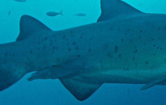 7e32625c-ba67-49f6-a164-4df59a5930d2