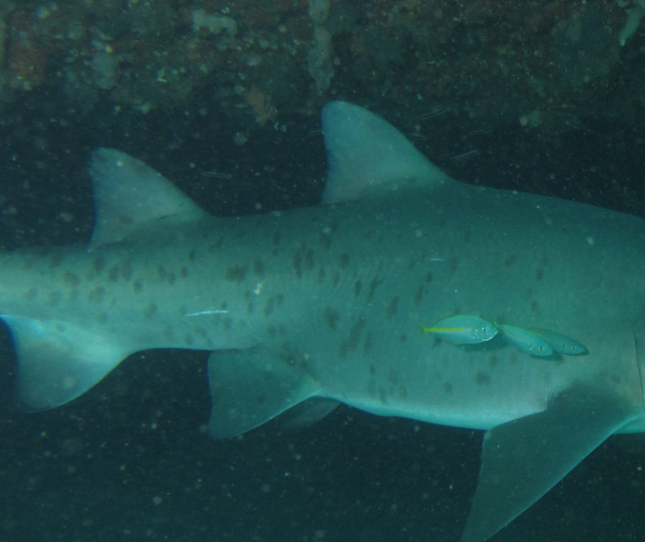 3ed16300-0f4f-4e84-98ae-76fac4504ce6