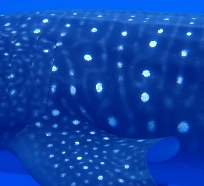 86ea5b64-15cc-4c6d-a495-47a499d0364c