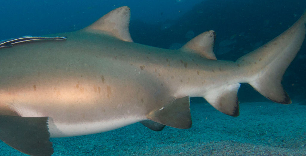 de8359c2-426e-409e-abc2-680ef2d6db96