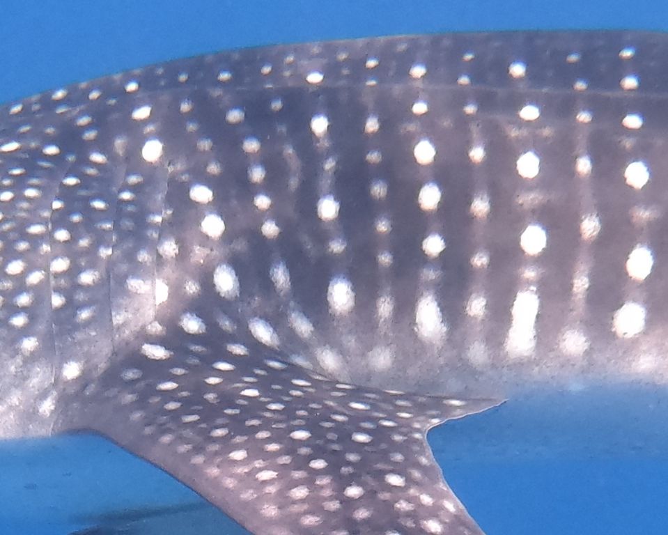 2c78af13-6e5c-4288-a3c0-c063a3dbc220