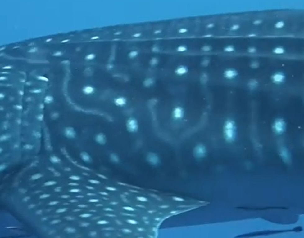 30b65b13-05d8-4857-974f-c1e18bc5a4bb