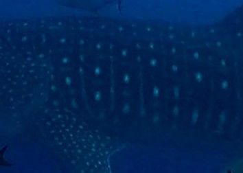 7708a586-6f53-4d92-9108-556c802368d3