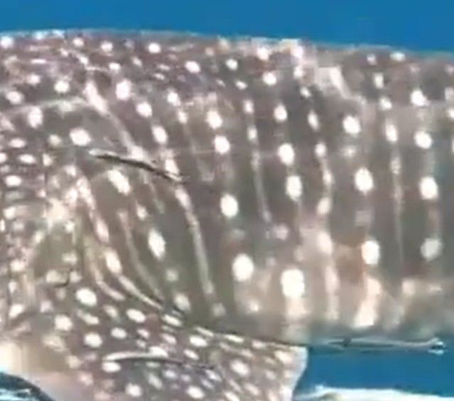 69699799-842c-41f8-bcc4-286bb34dcb94