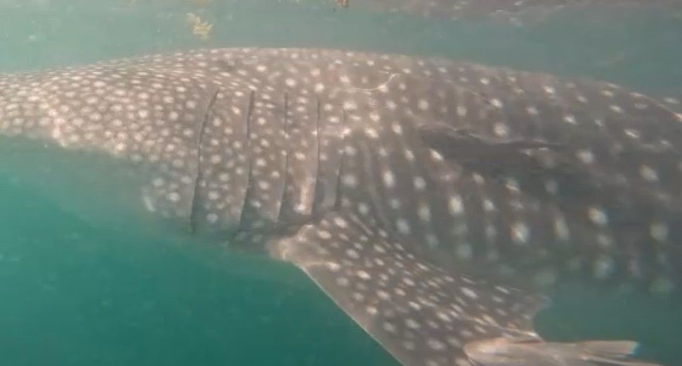 1cacf088-755f-4aac-9457-8215b6781468