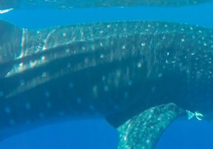 a4d4f71e-12a3-4f4b-9b7c-f41dac7d7a09