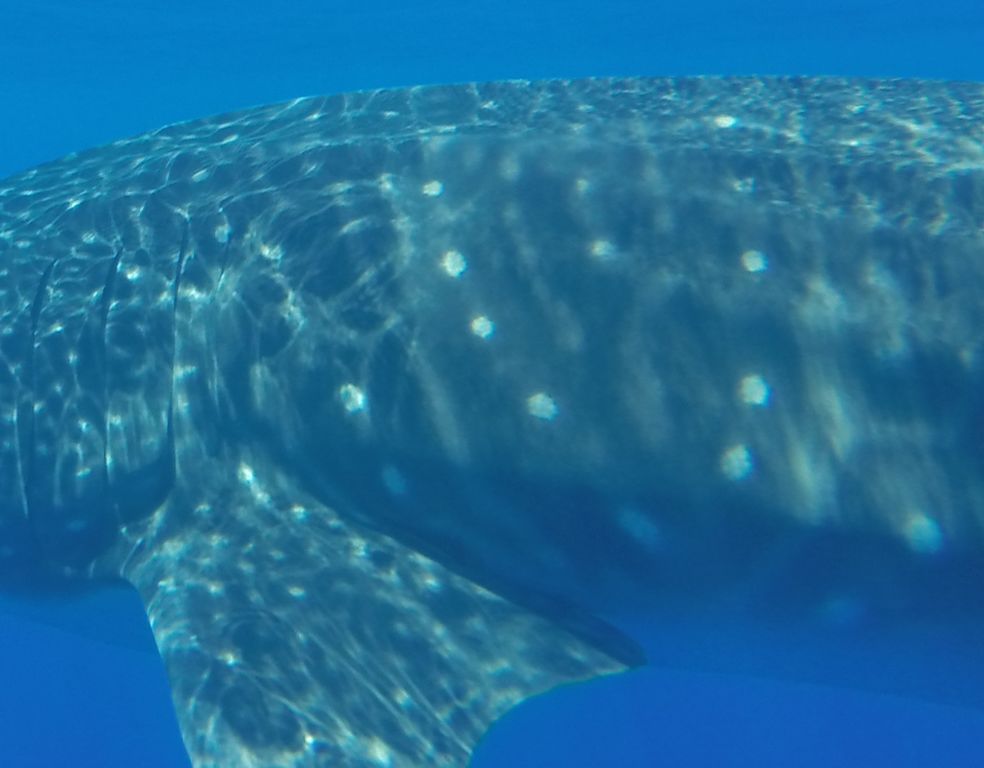 a4d4f71e-12a3-4f4b-9b7c-f41dac7d7a09