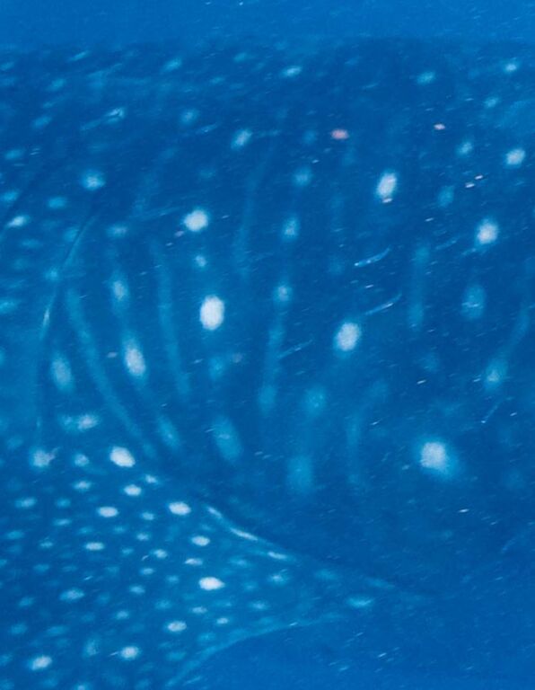 e28c476b-94a3-4b0d-84cc-e954823daca4