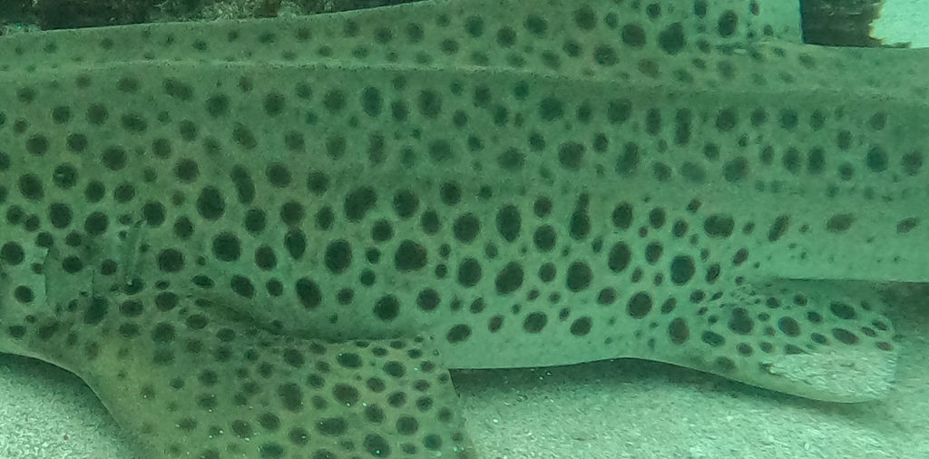 982e17c2-abfb-4035-bec0-a7a7d28f2ed0