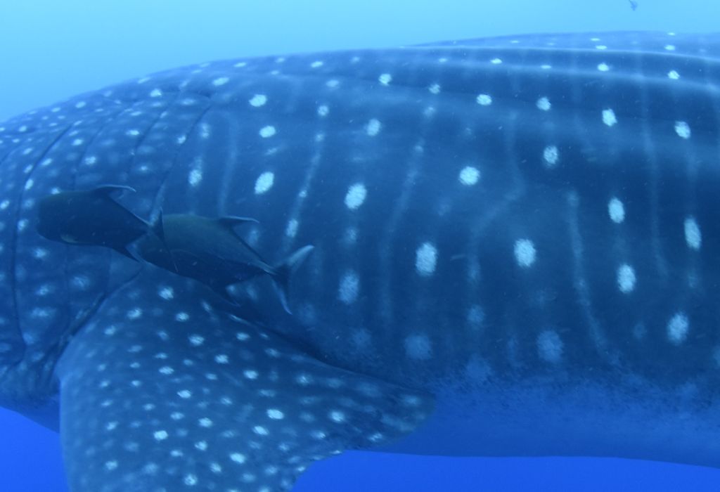 b05d58d6-ea06-48ea-a619-d5d3335728b3