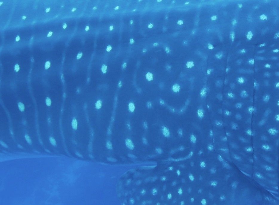 b05d58d6-ea06-48ea-a619-d5d3335728b3