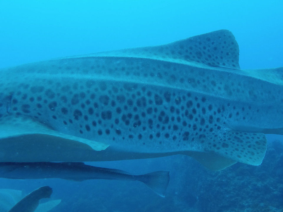 6659eb34-cd45-479b-89a8-8d8421eac661