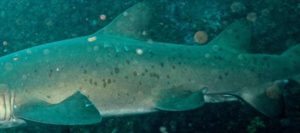 bc632402-73b6-4e36-8a86-b00c4c4c4960