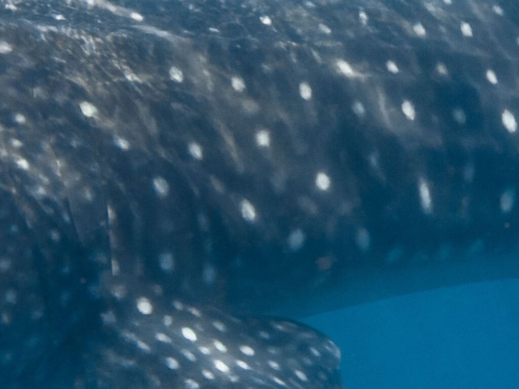 b95a5e9e-3f88-42a4-9ad5-e51efc267e45