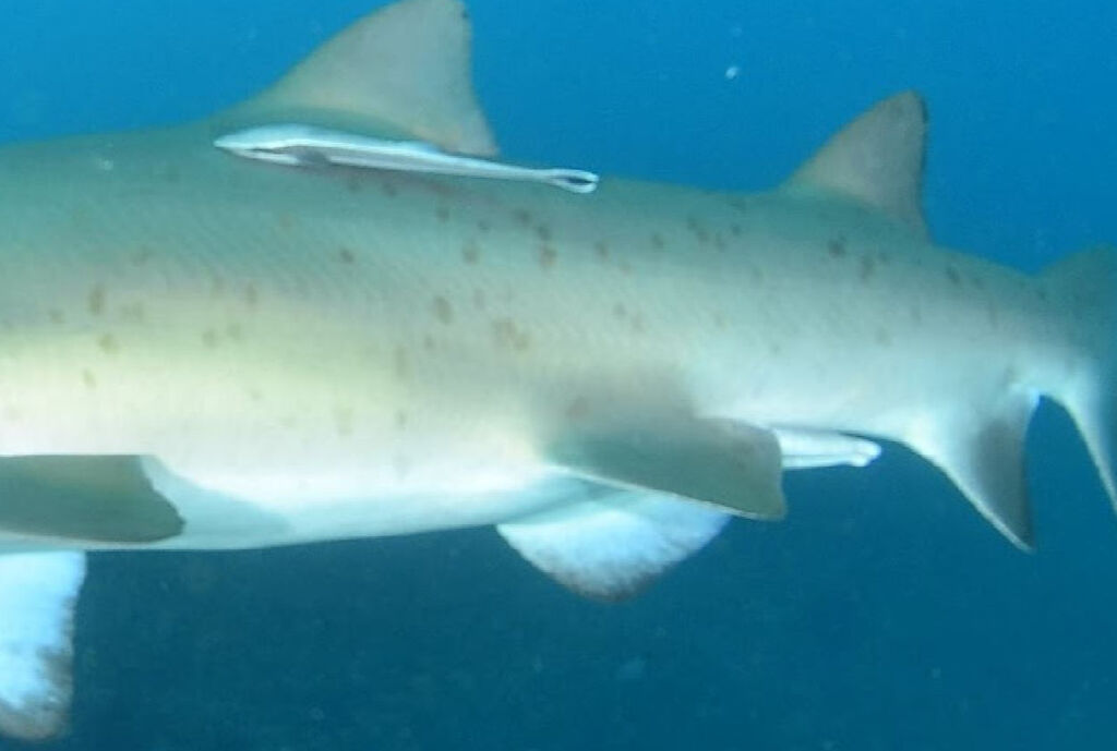 fbc36861-3a80-4f1c-9576-3434383608da