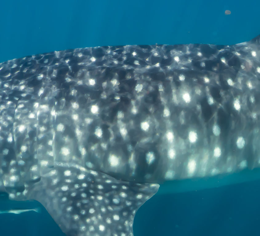 3157d17f-6f30-4765-bc0b-bd124c3560fa