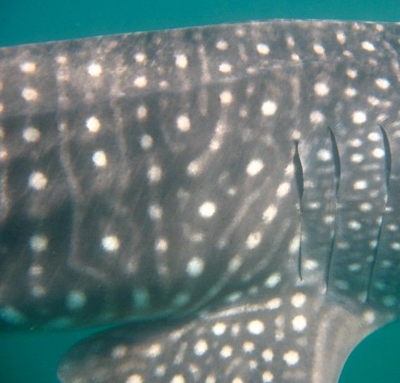 adc292ea-d9fc-49f7-8a9b-3d88e929f01d