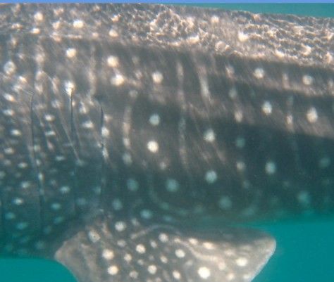 adc292ea-d9fc-49f7-8a9b-3d88e929f01d