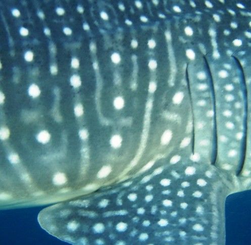 04bd79e7-c45b-4abf-a036-8a90c0d50c5d