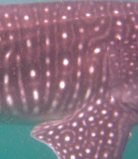 dafe51fe-7eb0-42bd-b245-7baed42988ae