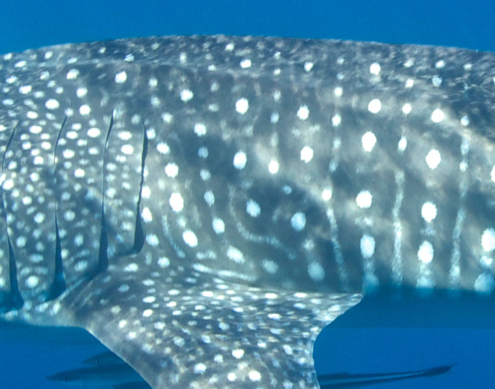 05b805ca-2e30-49cb-8911-825afafbac9b