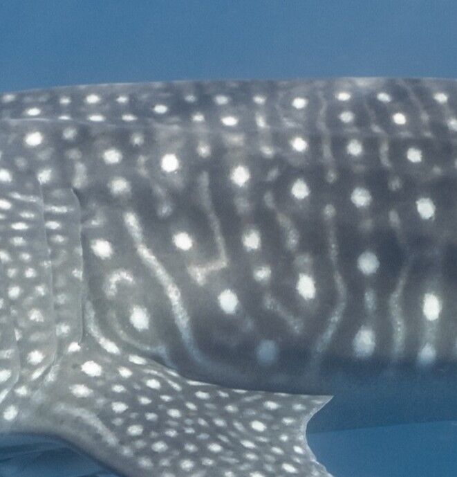 8be6e3a1-609a-42ec-adfa-f0e5dcdc8d05